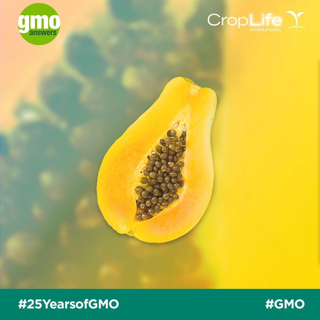 25 Things to Know From 25 Years of GMOs GMO Answers